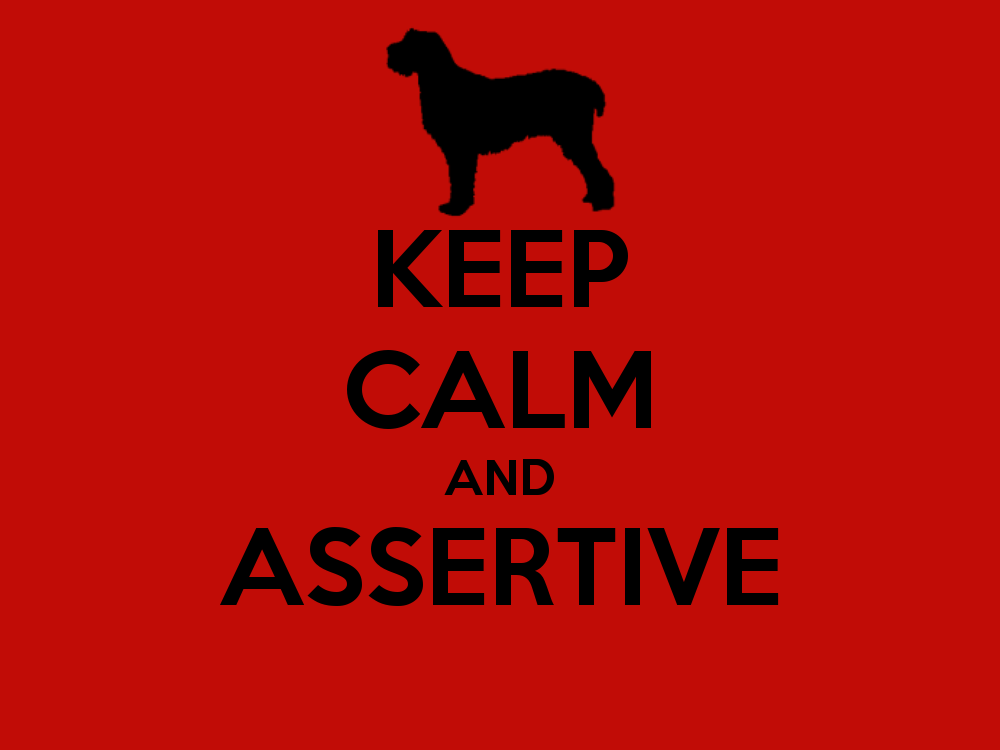 Your Assertive Rights